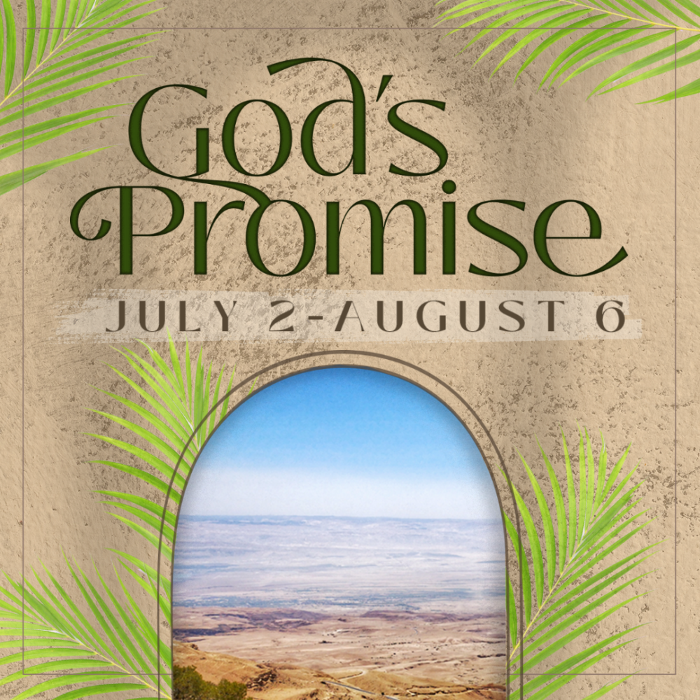God's Promise 